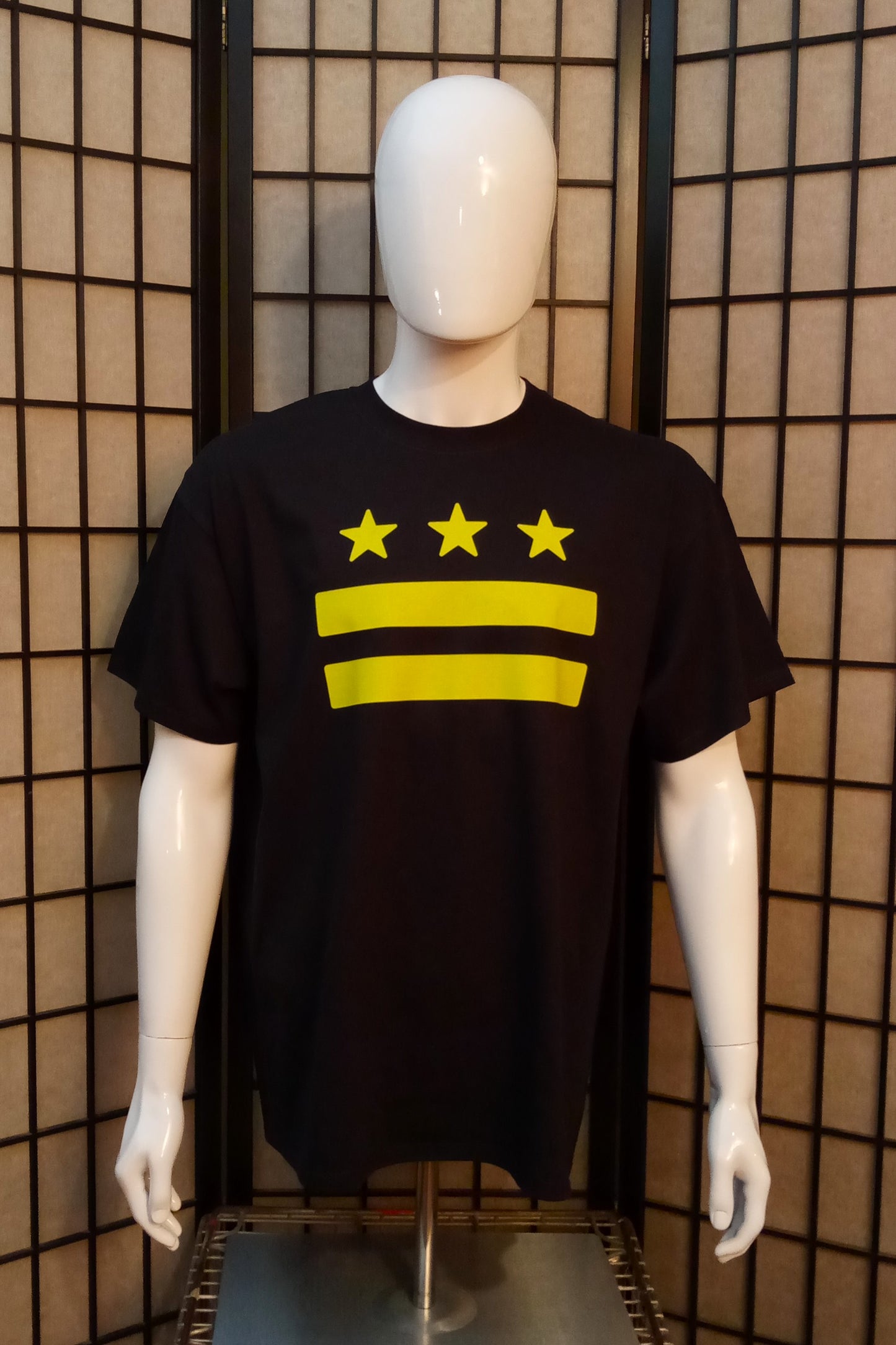 DC Flag Color Pop Tee