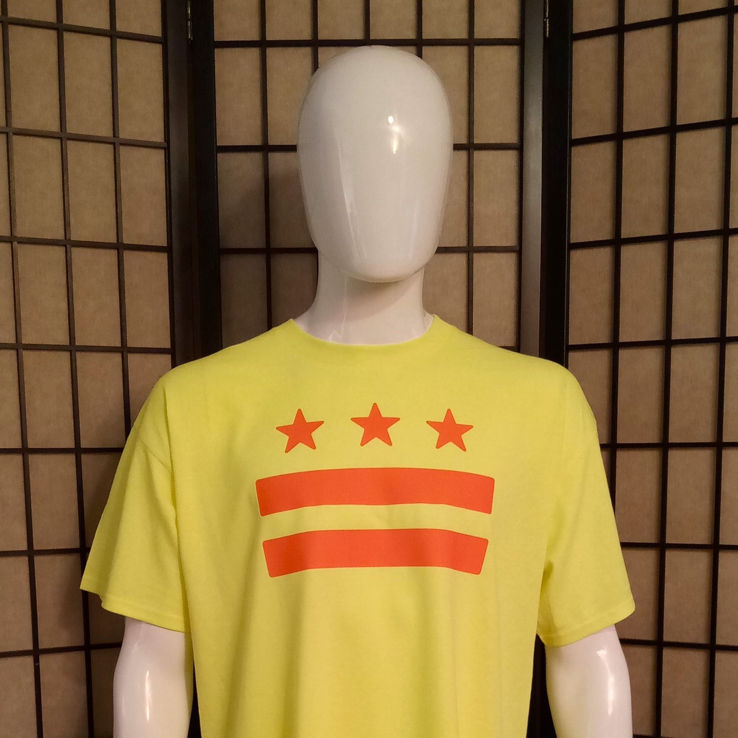 DC Flag Color Pop Tee