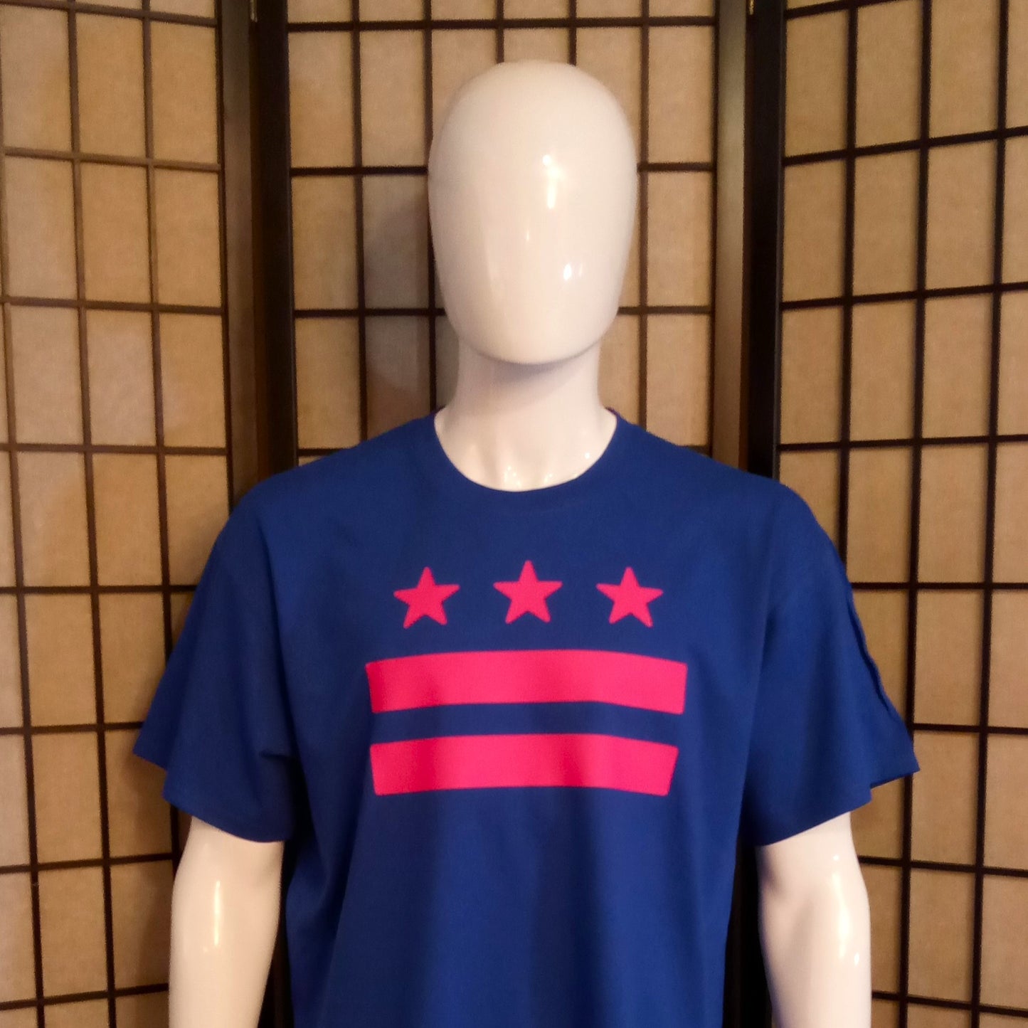 DC Flag Color Pop Tee