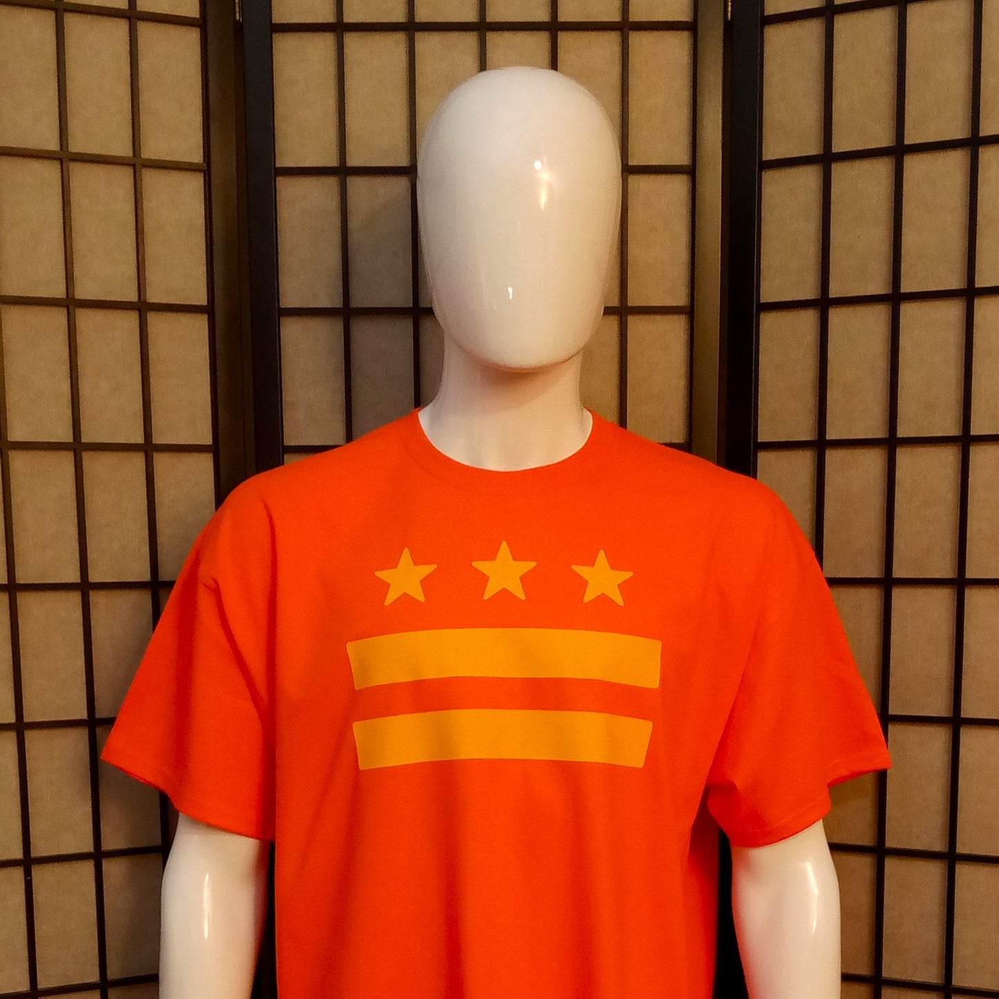 DC Flag Color Pop Tee
