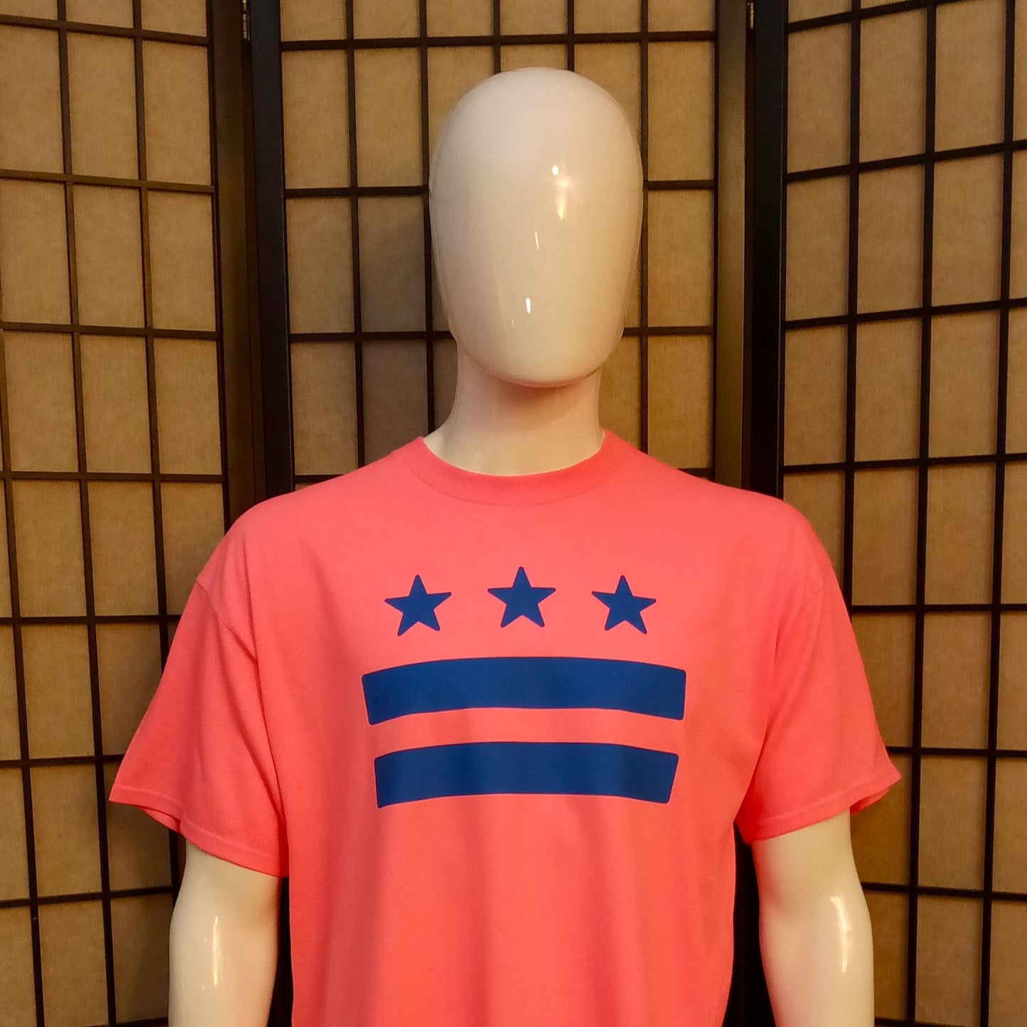 DC Flag Color Pop Tee