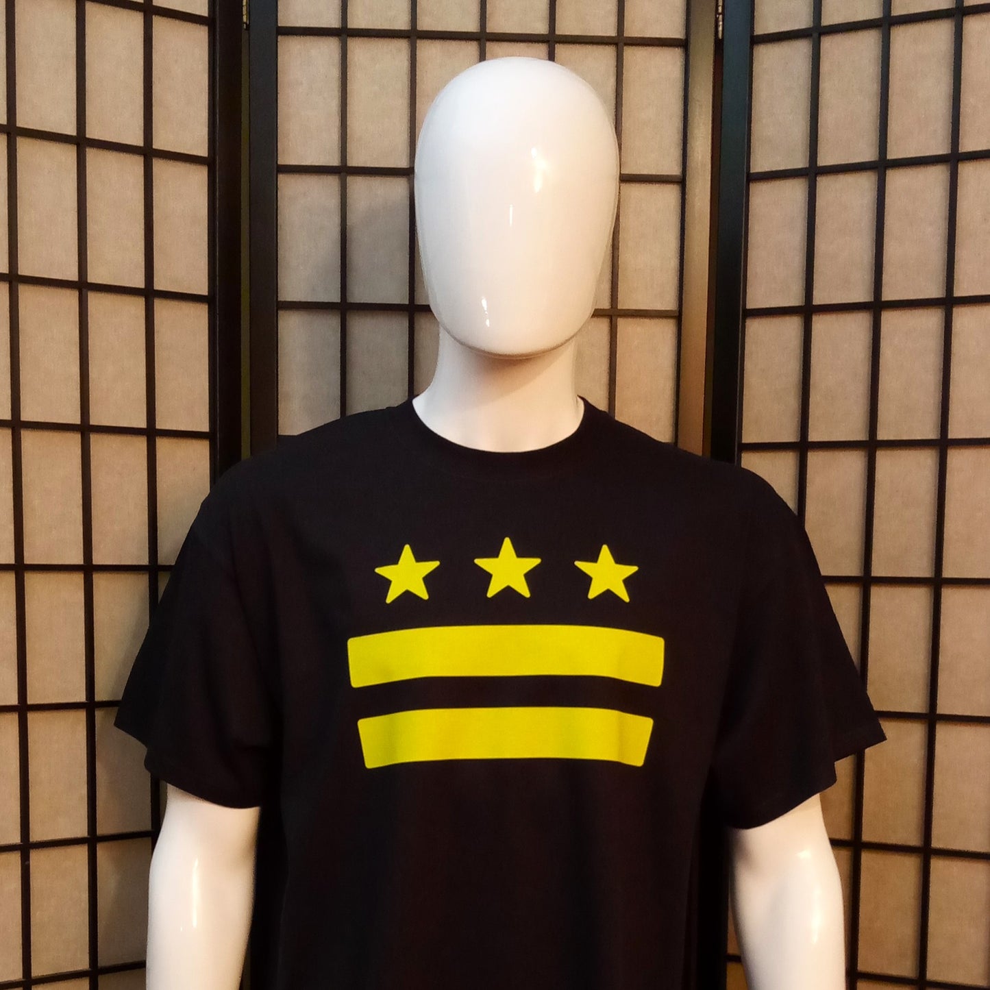 DC Flag Color Pop Tee