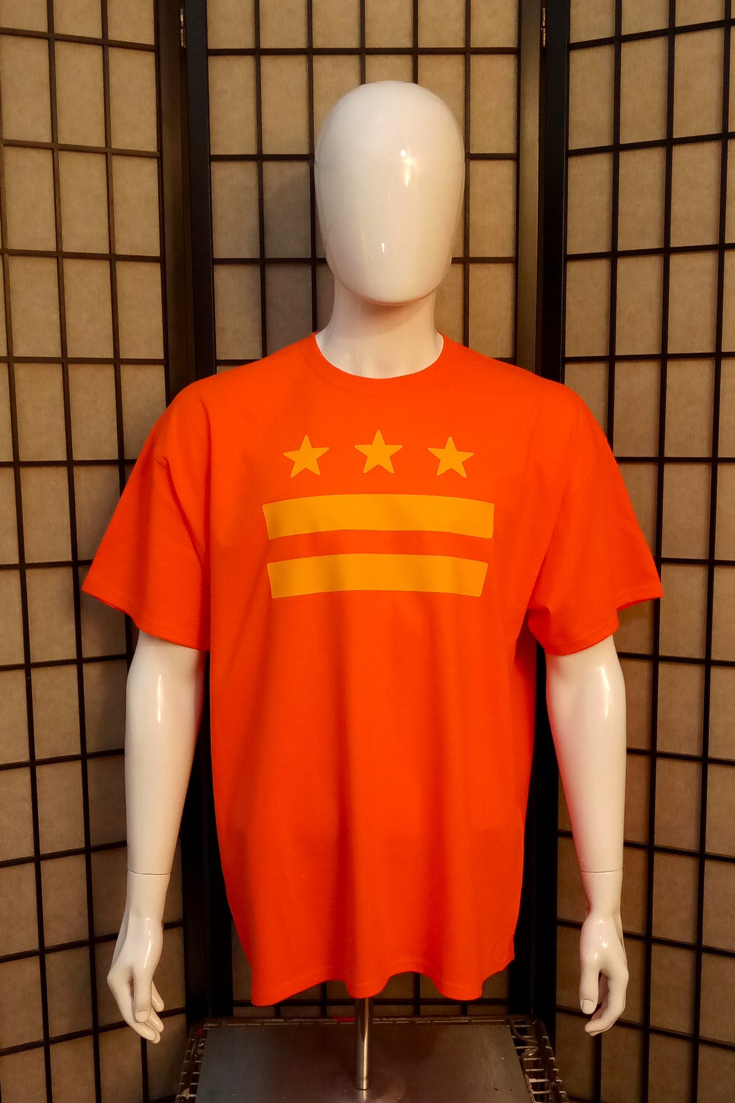 DC Flag Color Pop Tee