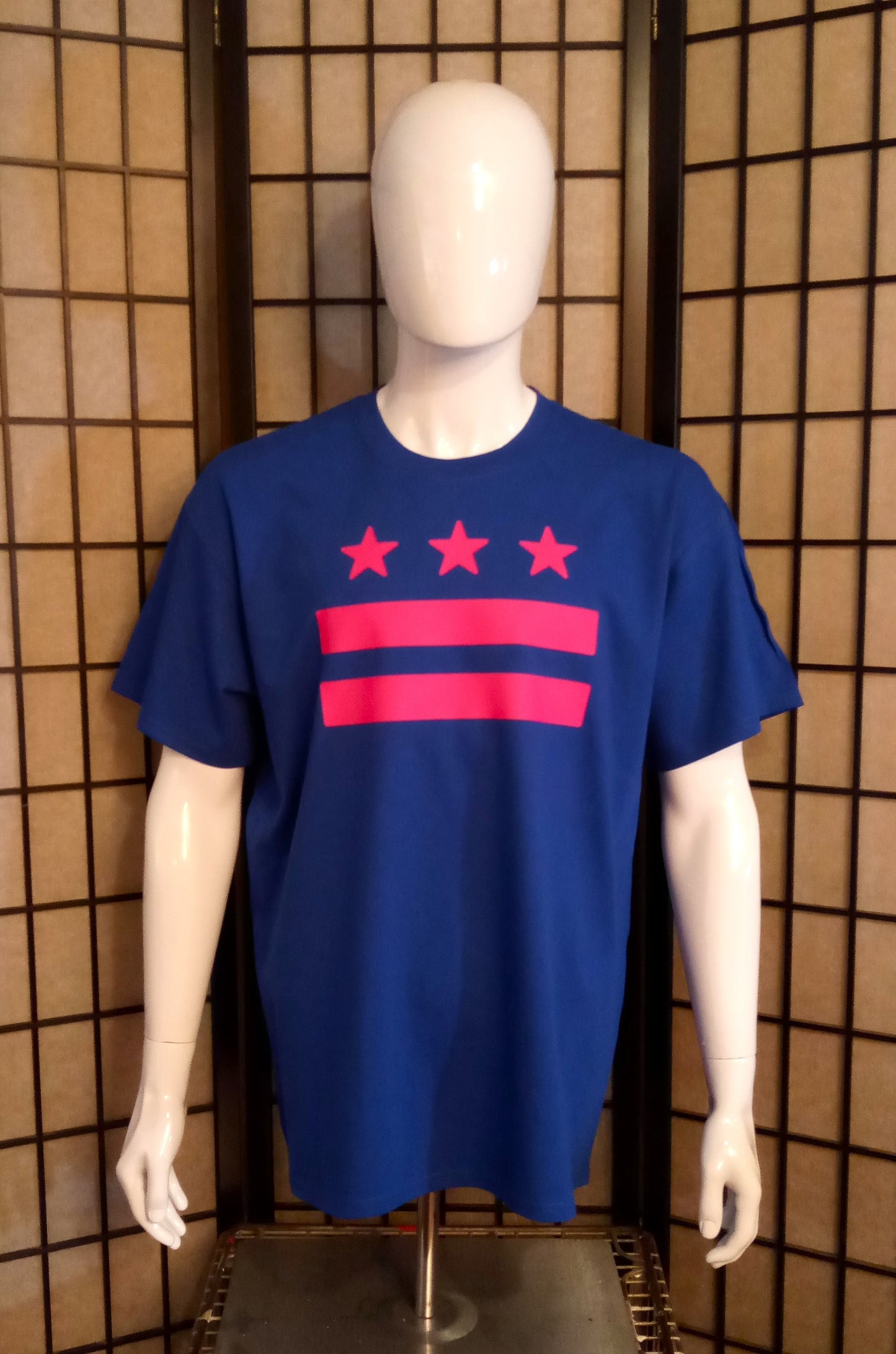 DC Flag Color Pop Tee